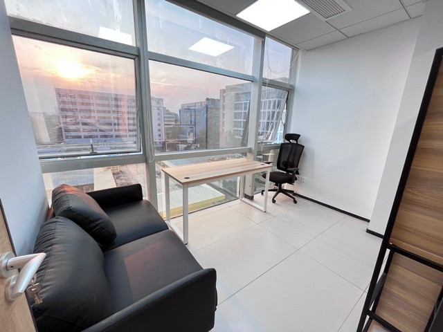 厦门正规狗罐头制造厂家