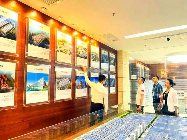 上海高尔夫轮厂商有哪些