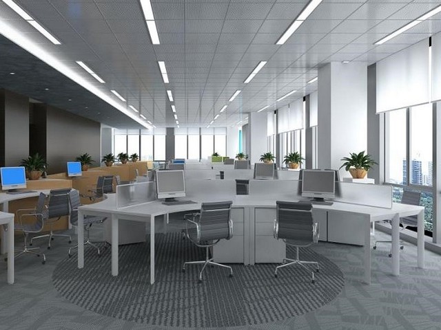 盐田专业宠物殡葬公司