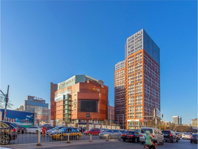 东莞动物皮皮带怎么系