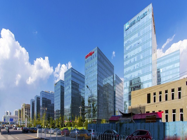 宝山区秀珍菇生产厂家